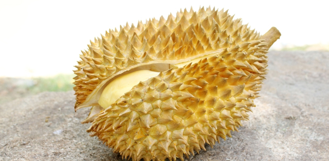 怀孕初期能吃榴莲吗