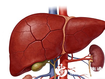 如果长期不吃早餐,脂肪就会在肝脏里越积越多 如果长期不吃早餐,脂肪就会在肝脏里越积越多