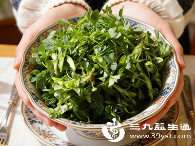 野菜摘回后,用流水反复冲洗干净 野菜摘回后,用流水反复冲洗干净