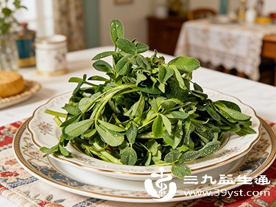 别只吃荠菜了 这种野菜才是“补钙王”可惜被忽视