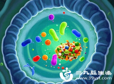 肠道益生菌：守护肠道健康的“隐形卫士”