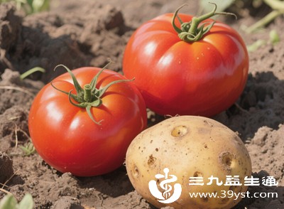 土豆作为主食，若与西红柿搭配食用，需减少其他主食