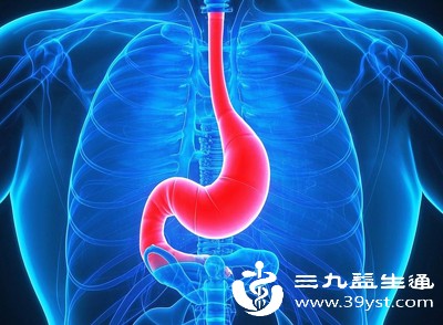 胃动力就像“传送带”，推动食物消化和排空