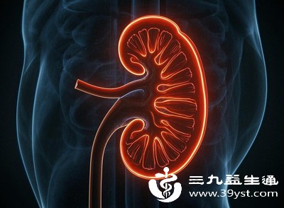 夜间是肾脏休息和修复的重要时段