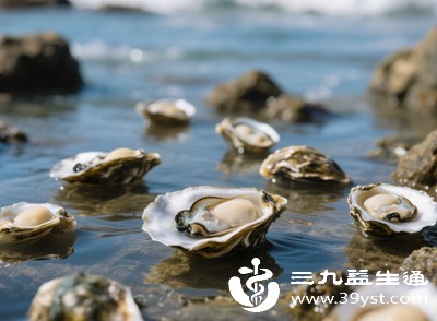 海蛎子功效与禁忌全知道 锌含量突出助修复务必煮熟别过量