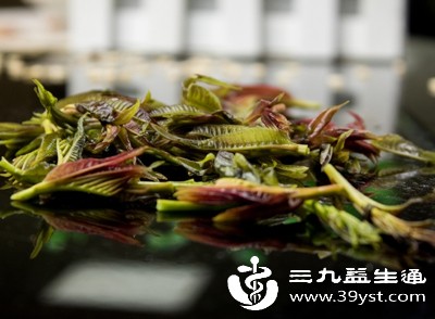 香椿紫红色的叶子中含有丰富的花青素、类黄酮等抗氧化物