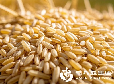 全谷物保留麸皮和胚芽，富含膳食纤维和B族维生素