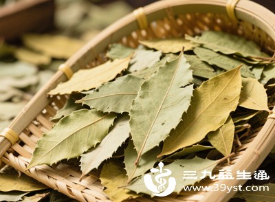 番泻叶减肥不可取 揭穿误区讲清危害 科学减重看这里