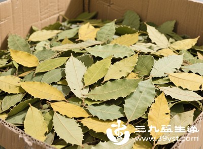 番泻叶缓解便秘后，腹胀消失、宿便排出