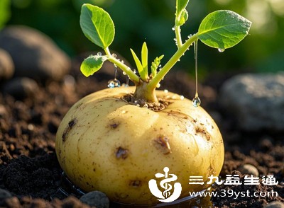 吃了夹生土豆别慌 先看是否有这些中毒症状 附科学应对法