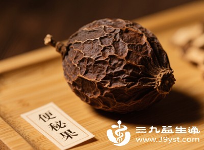 若长期、大量服用便秘果，肠道可能会对其产生依赖性