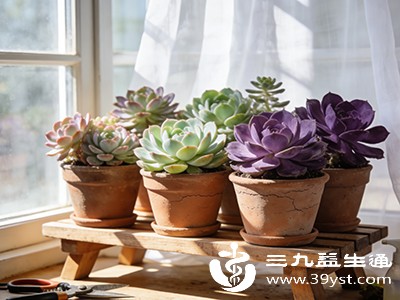 定期为植物浇水、修剪，保证植物正常生长