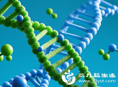 脂肪的分布位置受遗传基因影响较大