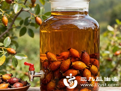 金樱子的营养成分融入酒后，饮用后能借助酒的“热力”，促进全身气血流通