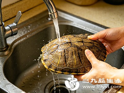 首先将龟壳清洗干净，去除杂质和残留肉质