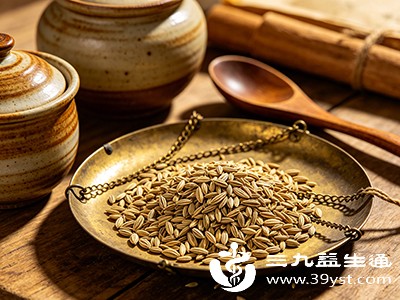 适量食用含小茴香的食物，有助于改善进食欲望