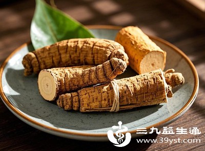 五指毛桃有一定的滋补功效