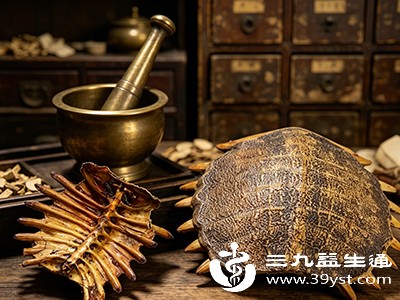 鳖甲性平味咸，传统上归肝、肾经