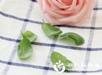 薄荷叶的清新气味和清凉口感能刺激嗅觉与味觉