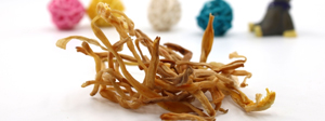 黄花菜的功效与作用及食用方法