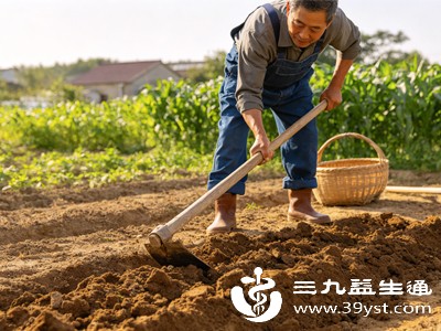 从迎夏仪式到农事安排，从尝新食俗到养生之道，古人始终遵循“春耕、夏耘、秋收、冬藏”的节律，提醒人们尊重自然、顺应天时，才能获得生活的馈赠