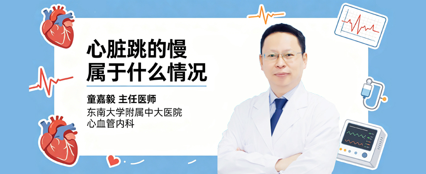 心脏跳的慢属于什么情况