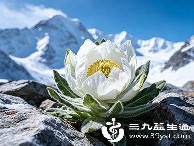 雪莲花提取物中的部分成分具有清除自由基的能力