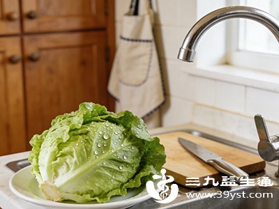 生菜能帮你减肥吗 认清这些特点科学利用更有效