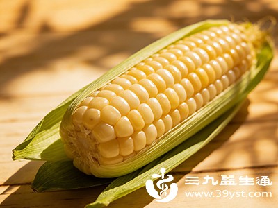 减肥期主食怎么选 避开误区这几类优质主食放心吃