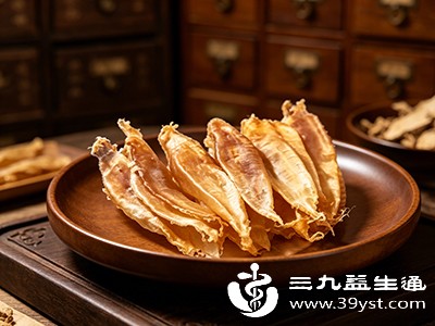 想靠鳘鱼胶补身体 先搞懂功效与禁忌 新手别错过正确吃法