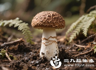 不要单一依赖某类食物，例如吃深绿色叶菜时，可搭配植物油和菌菇