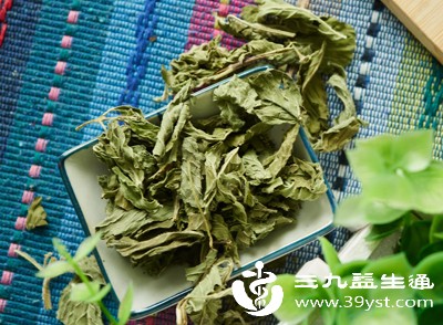 薄荷泡水好处多 这些实用功效帮你改善日常不适
