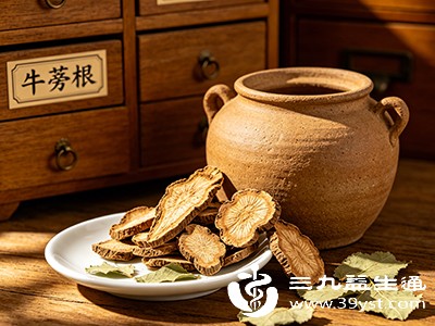 牛蒡有啥用还需避哪些坑 吃对才护健康
