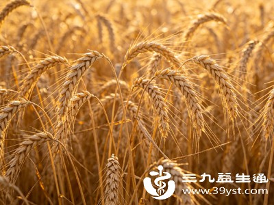 三候麦秋至,此处的“秋”并非指秋季,而是指麦类作物开始进入成熟阶段,仿佛迎来了属于自己的“收获之秋” 三候麦秋至,此处的“秋”并非指秋季,而是指麦类作物开始进入成熟阶段,仿佛迎来了属于自己的“收获之秋”