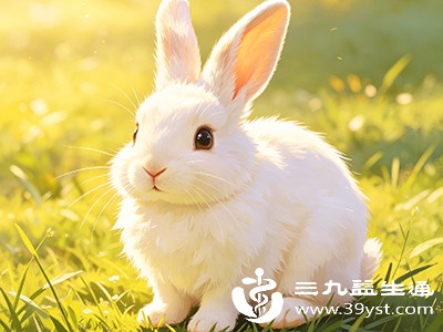 兔子咬了要打狂犬病疫苗吗 疾控数据揭秘 还有伤口观察重点
