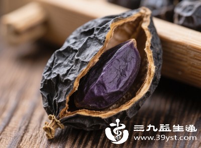 想喝女贞子水 先搞懂能否直接泡 掌握用量和冲泡法 避开饮用误区