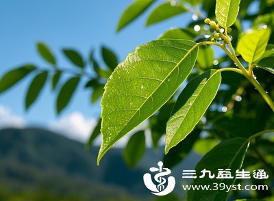 自然界中的碳14处于动态平衡中,大气中的碳14会被植物吸收,动物通过食用植物摄入碳14,人类再通过饮食、呼吸纳入体内,形成自然循环 自然界中的碳14处于动态平衡中,大气中的碳14会被植物吸收,动物通过食用植物摄入碳14,人类再通过饮食、呼吸纳入体内,形成自然循环