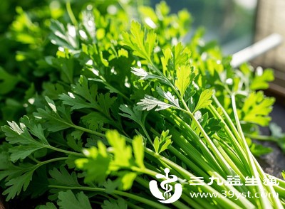 芹菜叶竟是“营养宝库” 功效多多，食用前先看禁忌