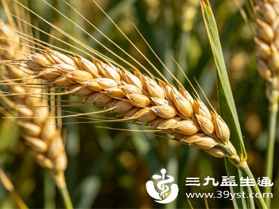 盛夏第一养在芒种 读懂节气由来与习俗告别暑湿烦躁