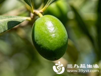 中医认为青果有生津解毒、和胃消食的作用
