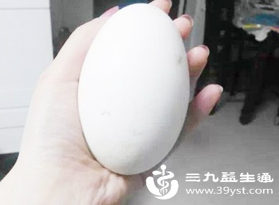 鹅蛋含有维生素A、维生素D、钙、铁等多种营养素 鹅蛋含有维生素A、维生素D、钙、铁等多种营养素