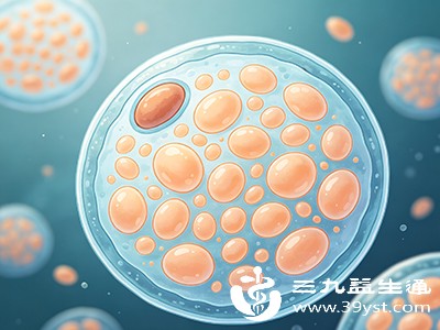 吃对食物助脂肪活 4类核心食材为细胞“加油”