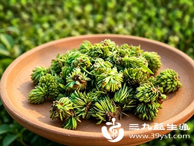 在食用杜仲雄花前应谨慎,最好咨询医生或专业人士的建议 在食用杜仲雄花前应谨慎,最好咨询医生或专业人士的建议