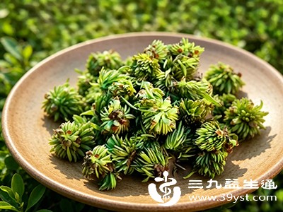 杜仲雄花富含维生素C、维生素E以及多种矿物质 杜仲雄花富含维生素C、维生素E以及多种矿物质