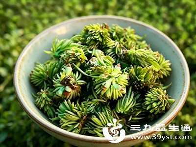 解锁杜仲雄花新吃法 泡水喝好处满满 早学早受益