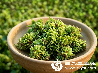 杜仲雄花中的某些成分还能辅助调节体内的血脂水平,降低血液黏稠度 杜仲雄花中的某些成分还能辅助调节体内的血脂水平,降低血液黏稠度