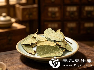 冬青叶中的挥发油和有机酸成分具有一定的抑菌作用 冬青叶中的挥发油和有机酸成分具有一定的抑菌作用