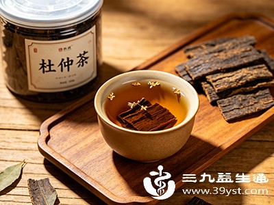 杜仲茶在日常饮用中展现出多种潜在益处