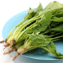 不能吃菠菜人群