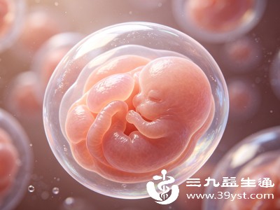 8级胚胎是临床中公认的优质胚胎,发育状态最理想 8级胚胎是临床中公认的优质胚胎,发育状态最理想